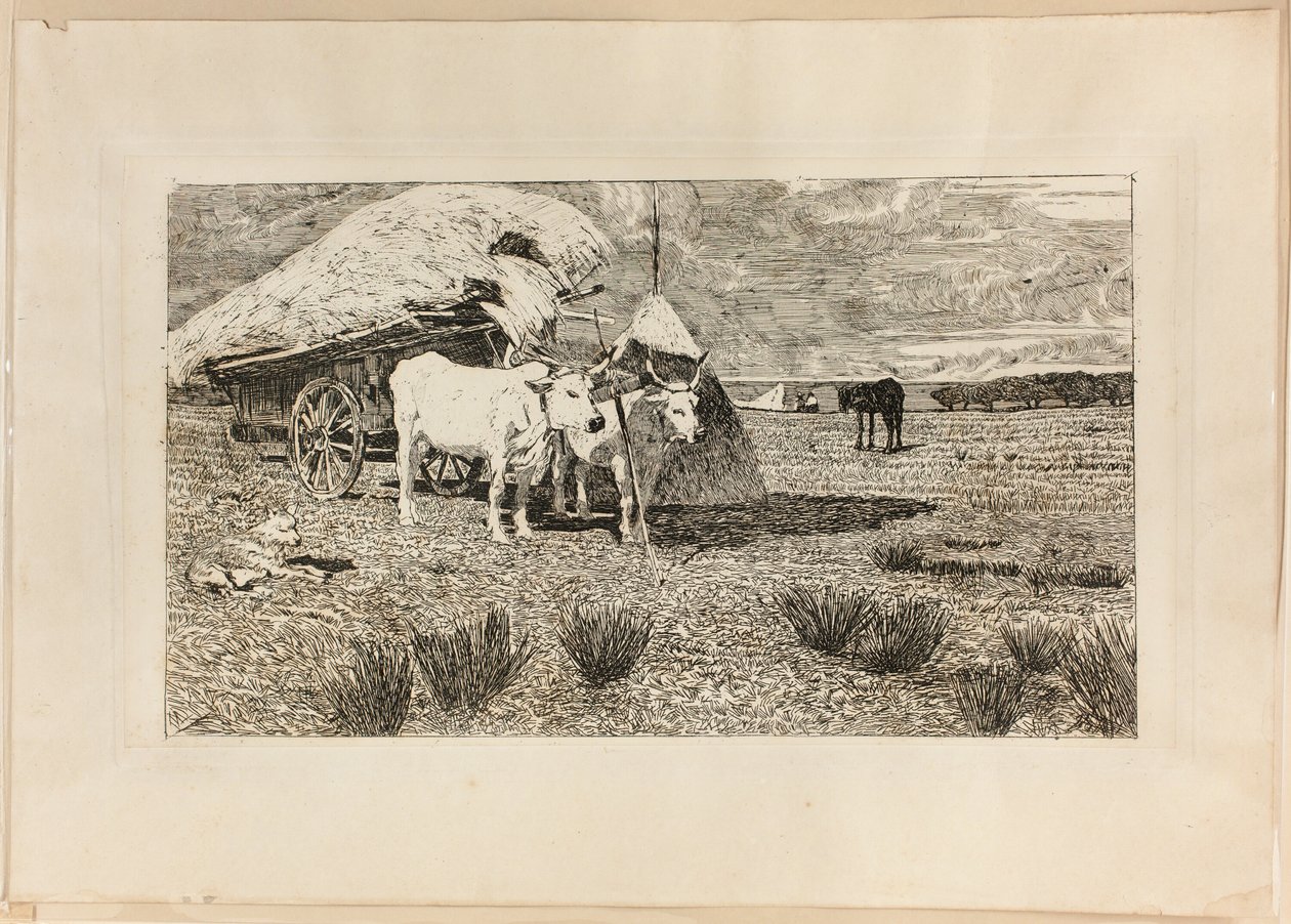 Voli a vůz (Maremma) od Giovanni Fattori
