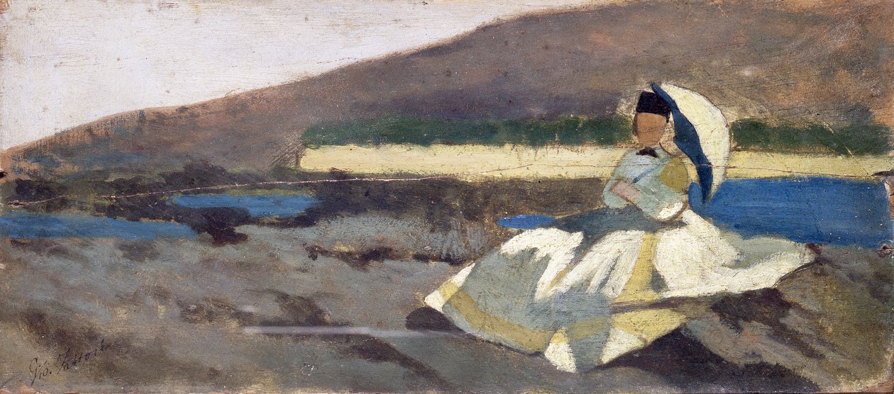 Sedící dáma v krajině od Giovanni Fattori