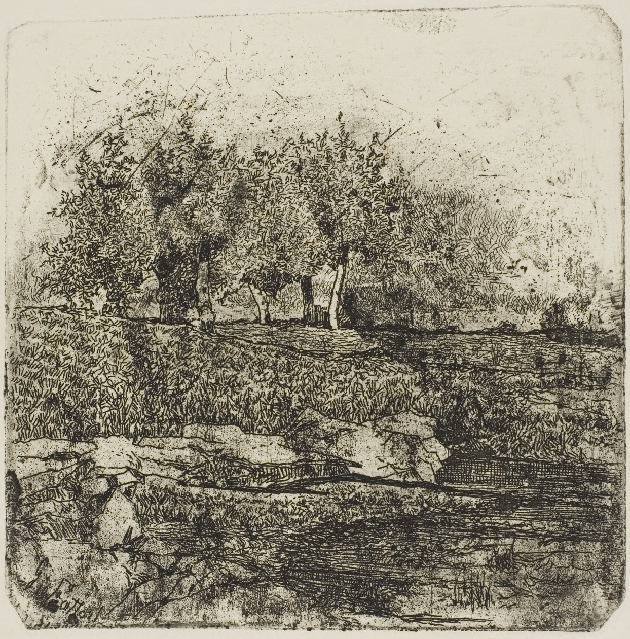 Stromy na louce od Giovanni Fattori
