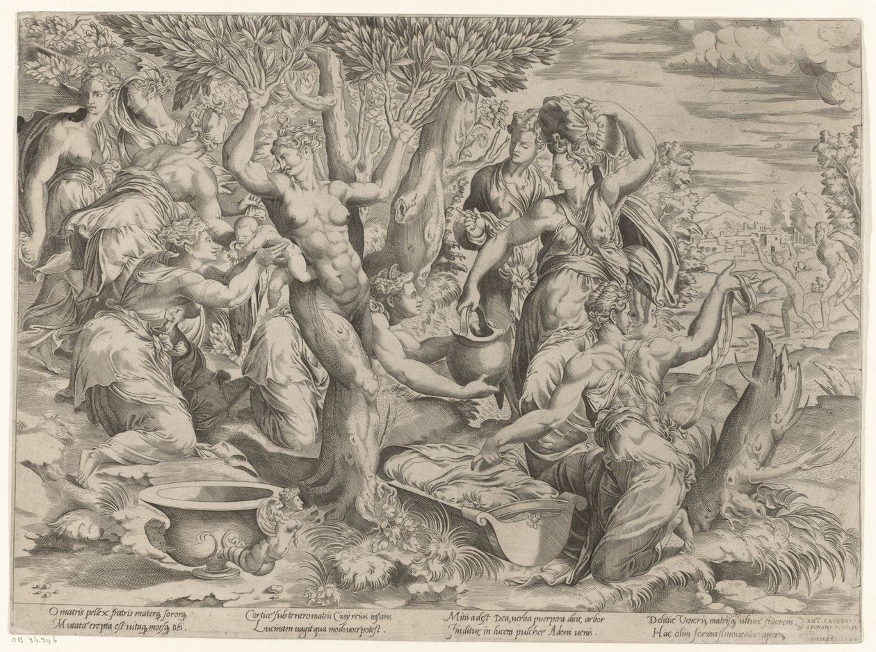 Narození Adonise od Girolamo Fagiuoli (attributed to)