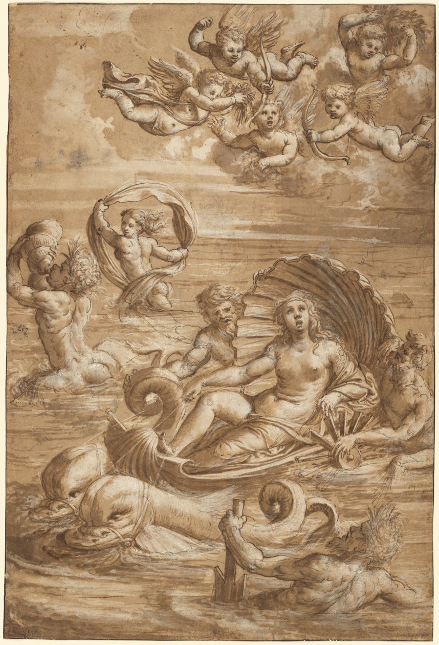 Triumf Galatea od Girolamo da Treviso II