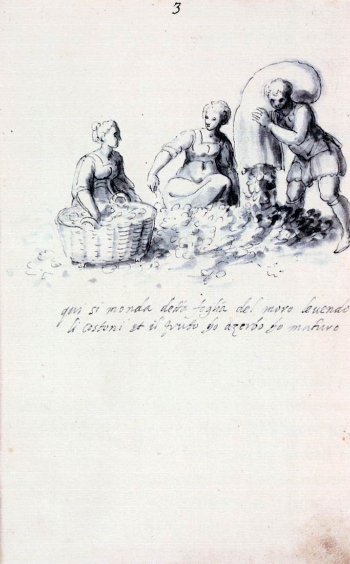 Pojednání o kultuře a výrobě hedvábí od Giuseppe Arcimboldo