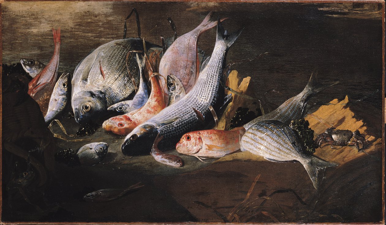 Ryby a krab od Giuseppe Recco