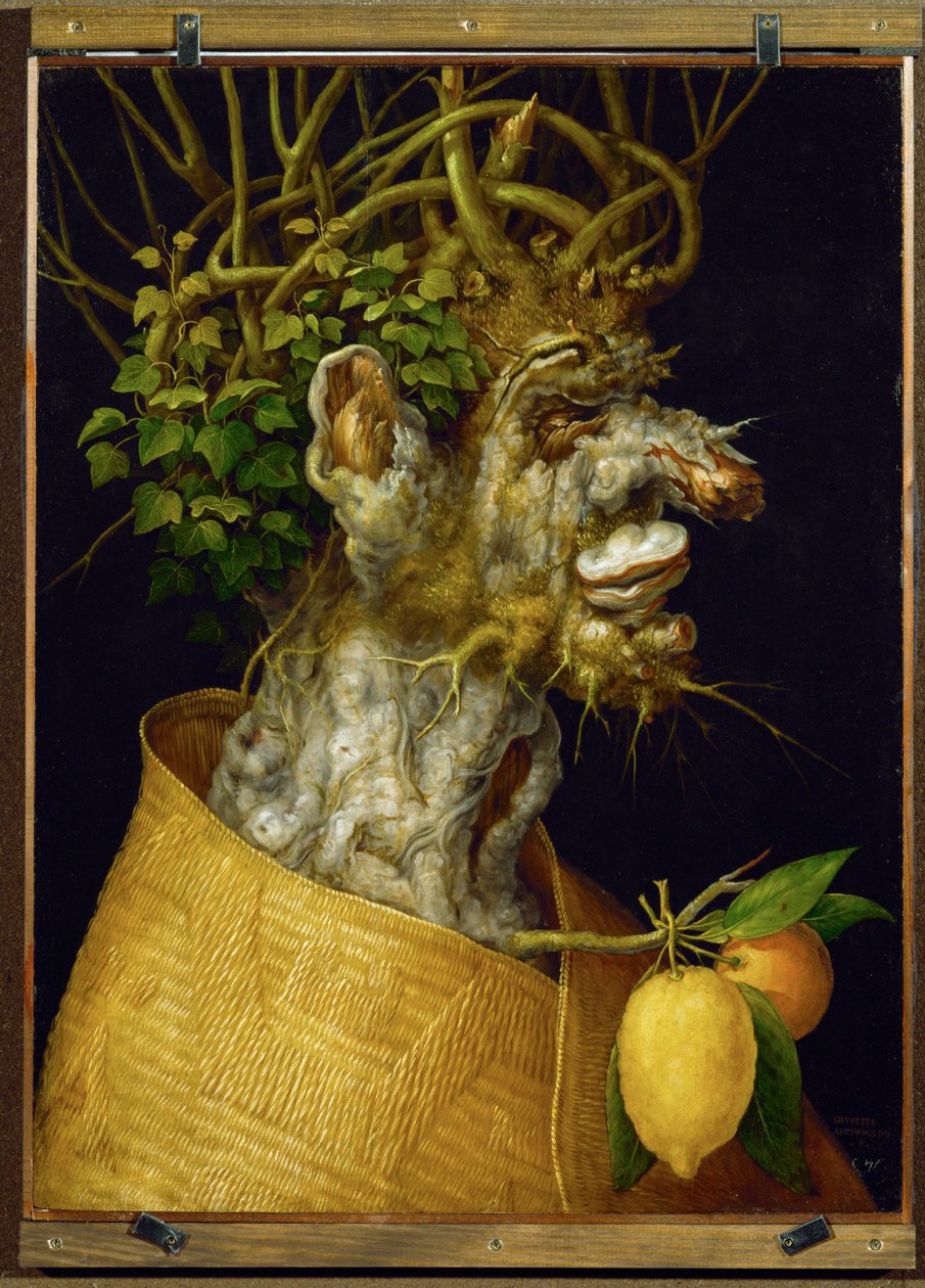 Zima, alegorie ... (vápno) od Giuseppe Arcimboldo