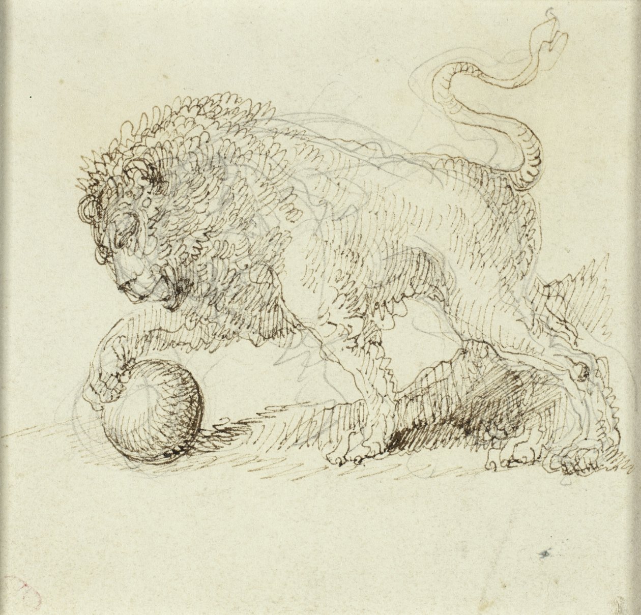 Lev s míčem od Giuseppe Bernardino Bison