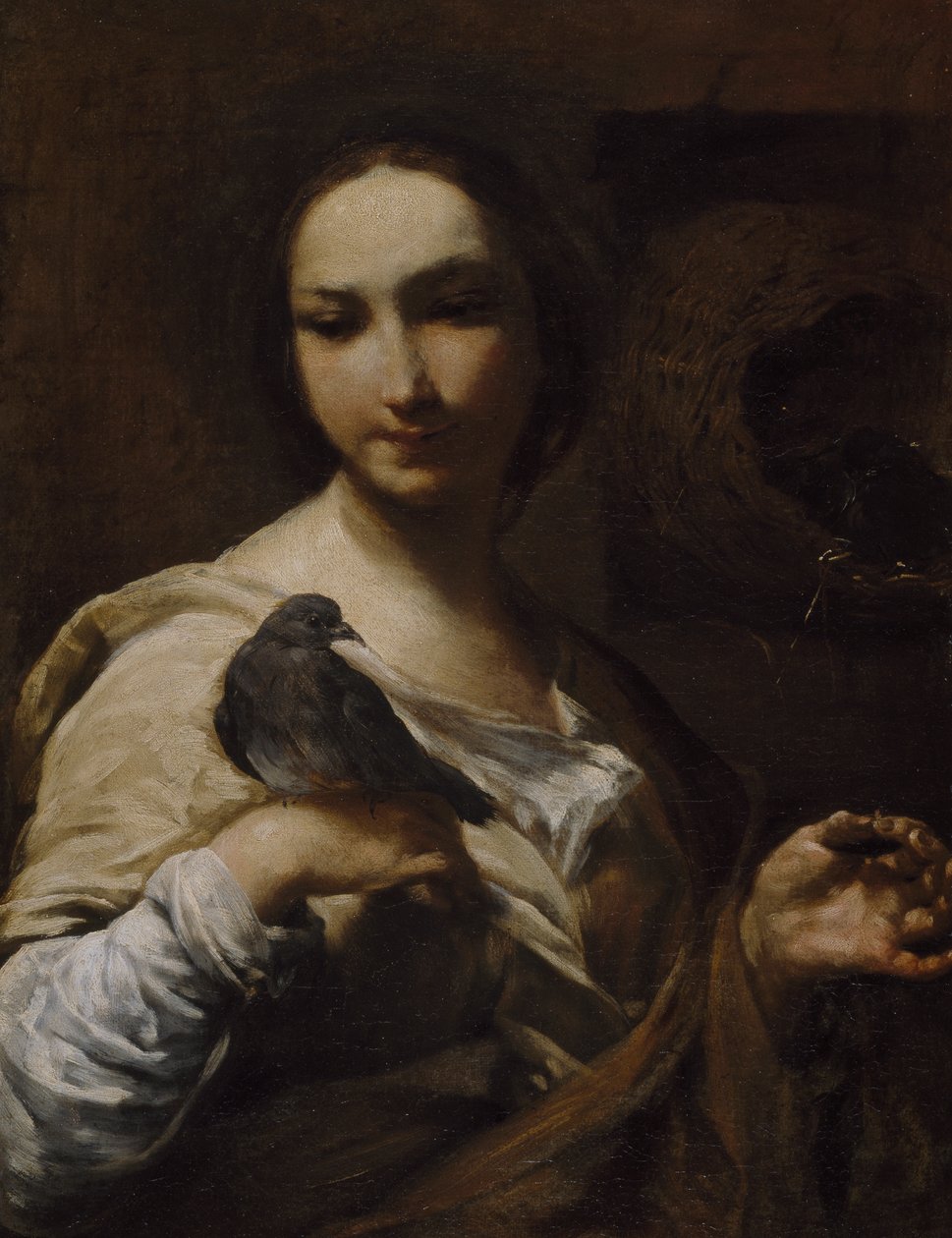 Dívka držící holubici, 1721-27 od Giuseppe Maria Crespi