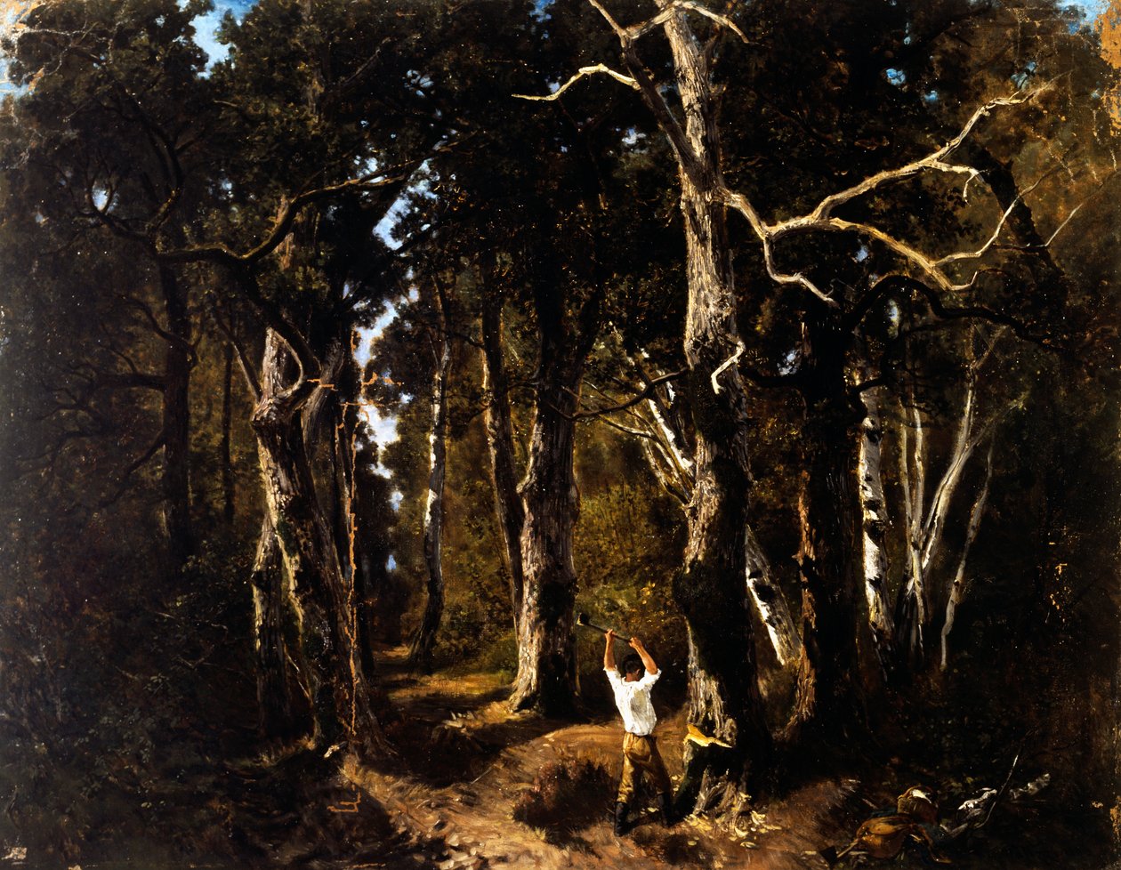 Dřevorubec ve Fontainebleau (olej na plátně) od Giuseppe Palizzi