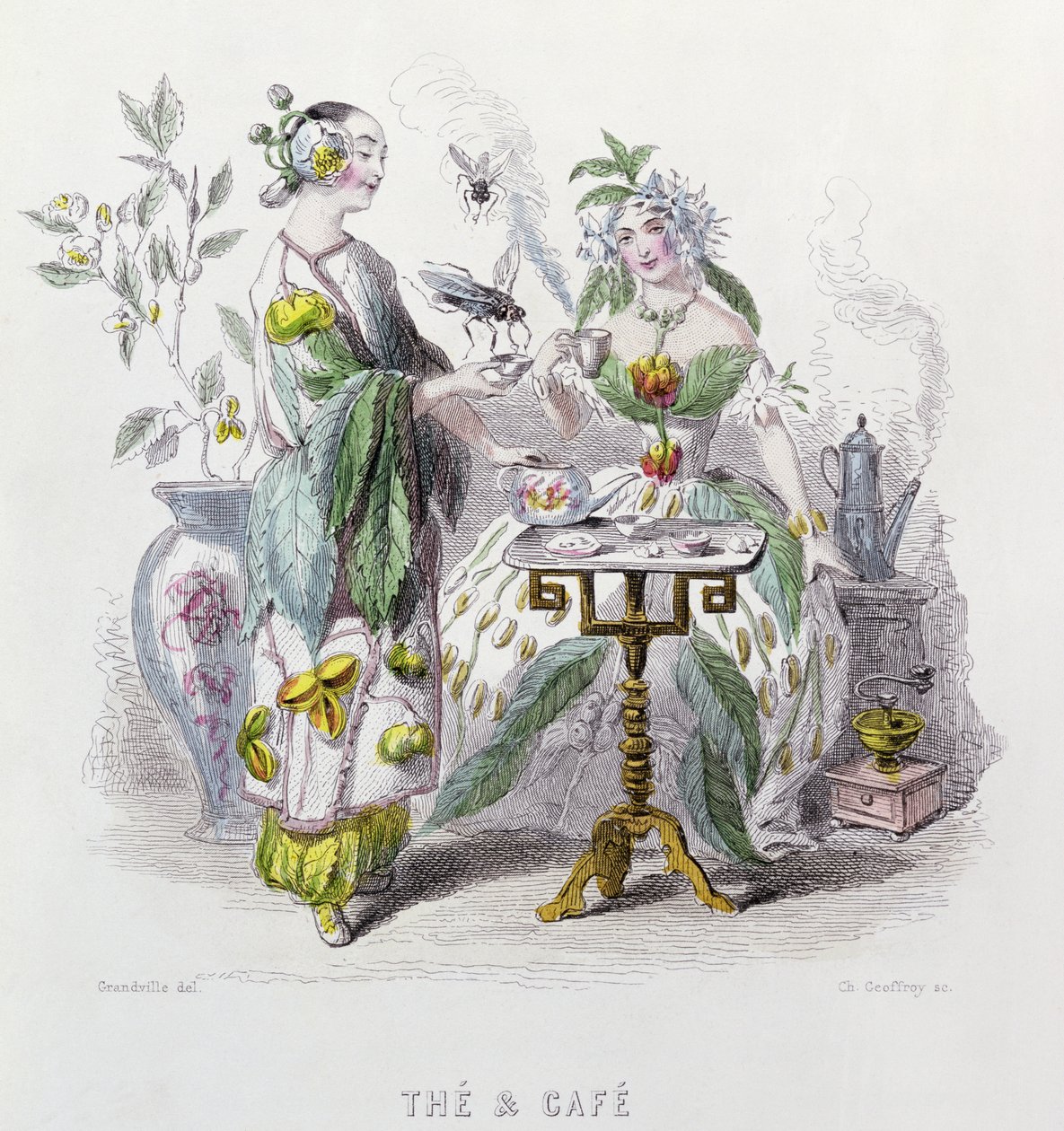 Čaj a káva, z „Les Fleurs Animees“, vyryl Charles Geoffrey (1819-82) 1847 od Grandville