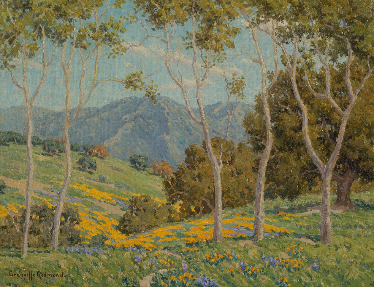 Mák a eukalyptus (olej na plátně) od Granville Redmond
