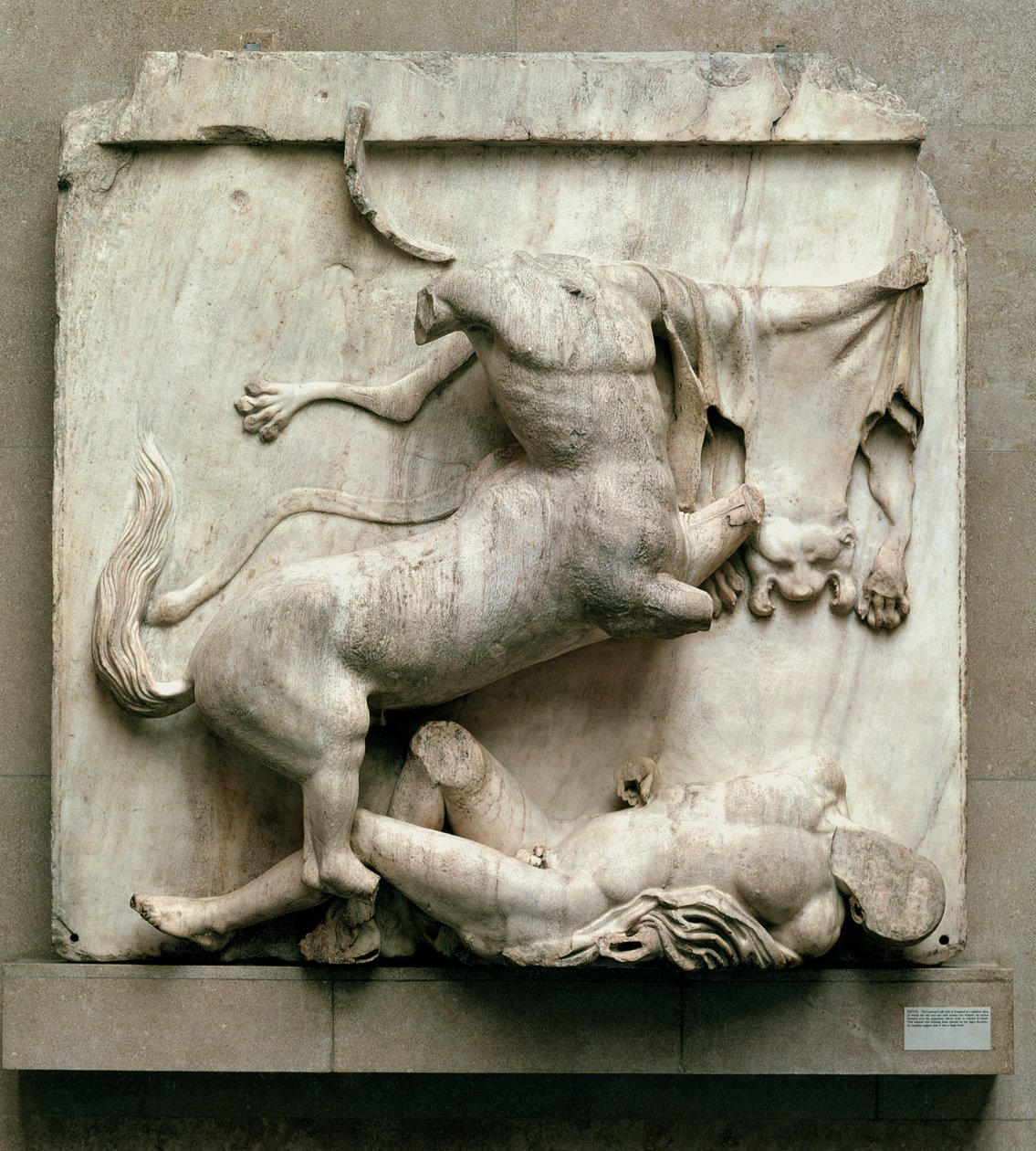 Kentaur vítězící nad Lapithem, metopa XXVIII z jižní strany Parthenonu, 447-432 př.nl (mramor) od Greek