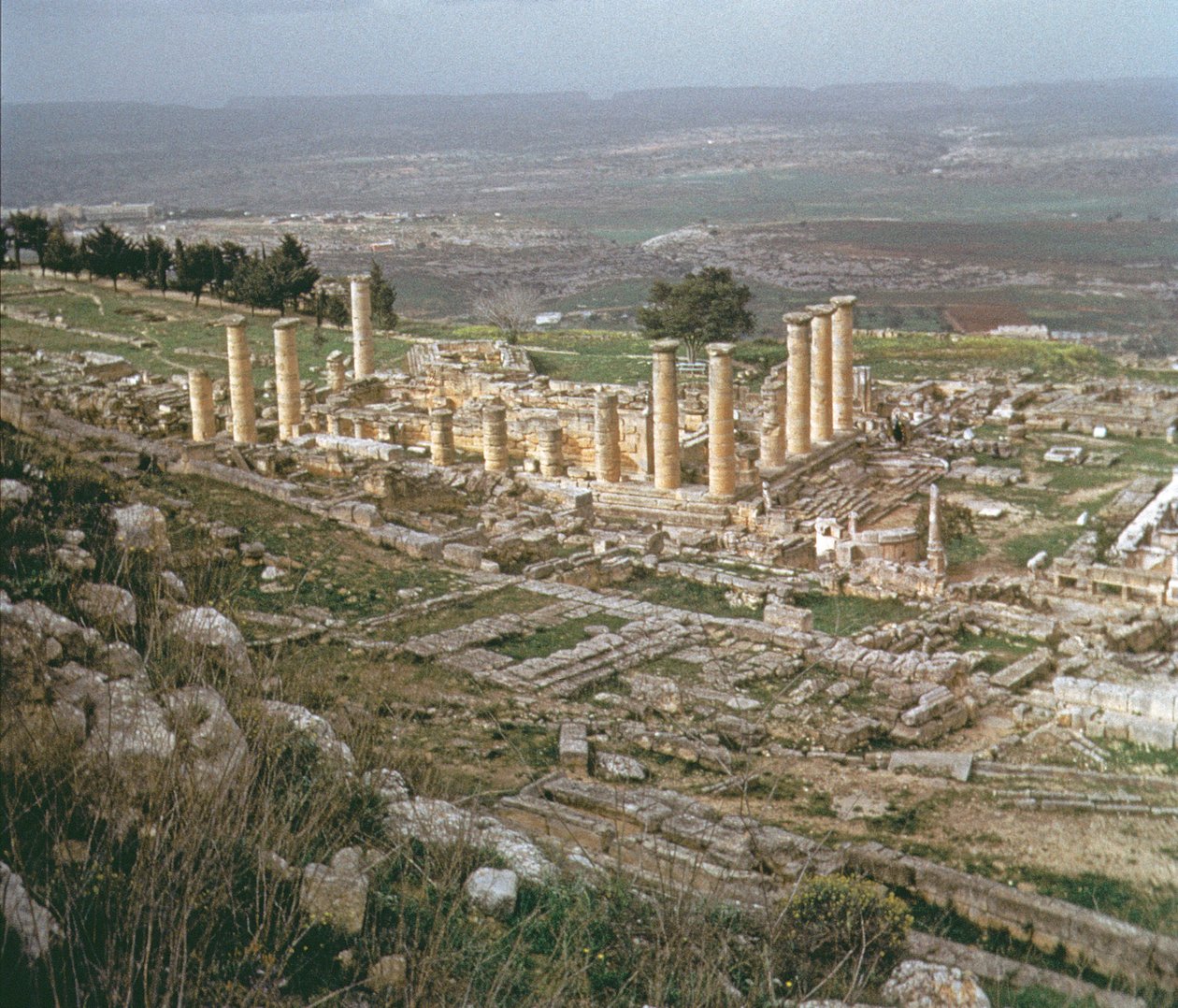 Celkový pohled na dolní Kyrénu od Greek