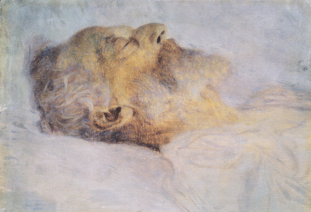 Starý muž na smrtelné posteli od Gustav Klimt