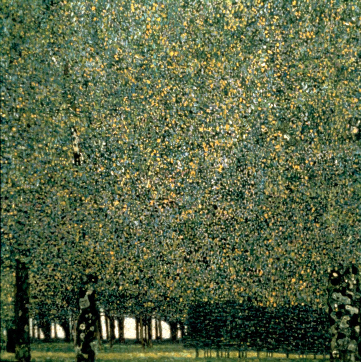 Park, 1910 od Gustav Klimt