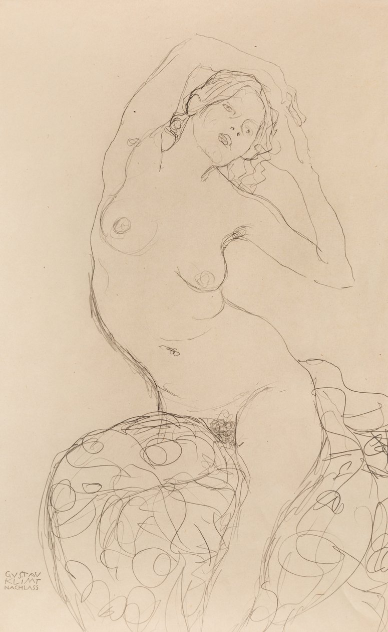 Sedící akt, cca 1914-1916. od Gustav Klimt