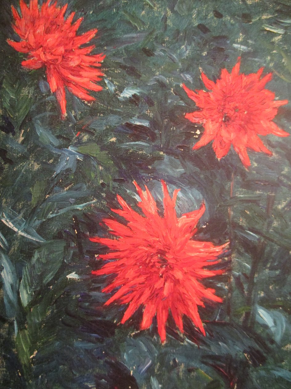 Jiřiny kaktusu červeného (1892) od Gustave Caillebotte