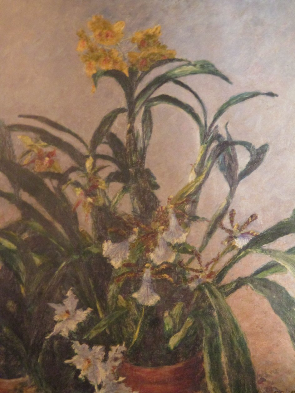 Žluté orchideje od Gustave Caillebotte