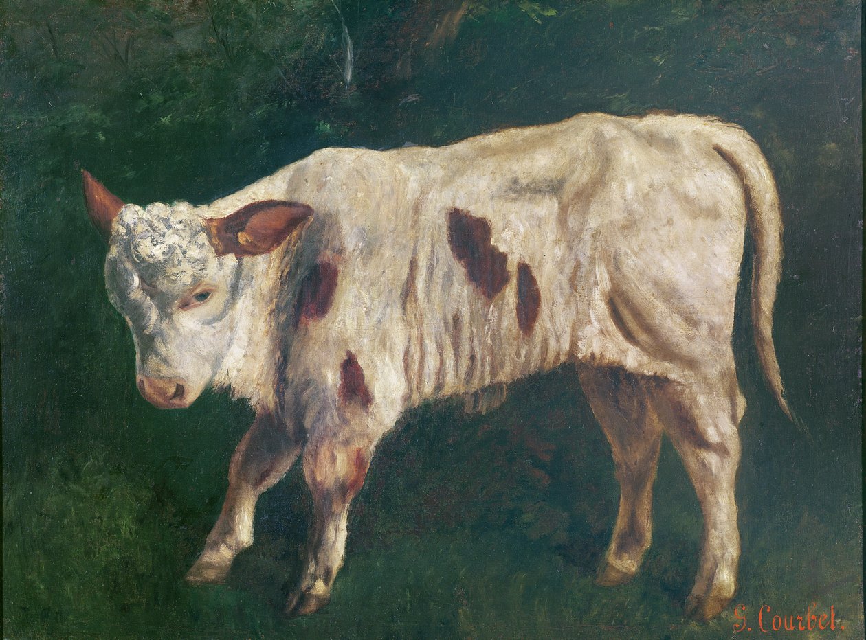 Telátko od Gustave Courbet