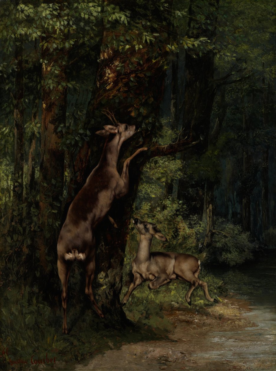 Jelen v lese od Gustave Courbet