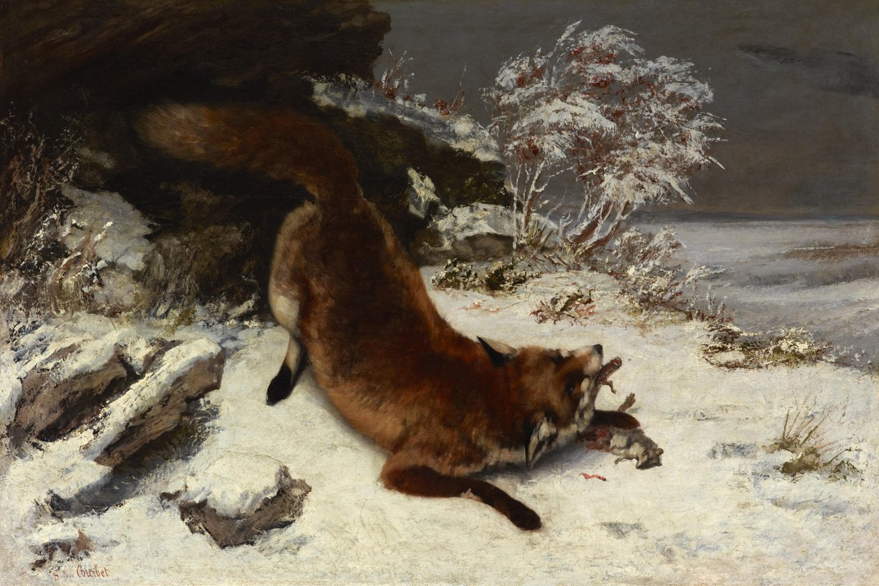 Liška ve sněhu od Gustave Courbet