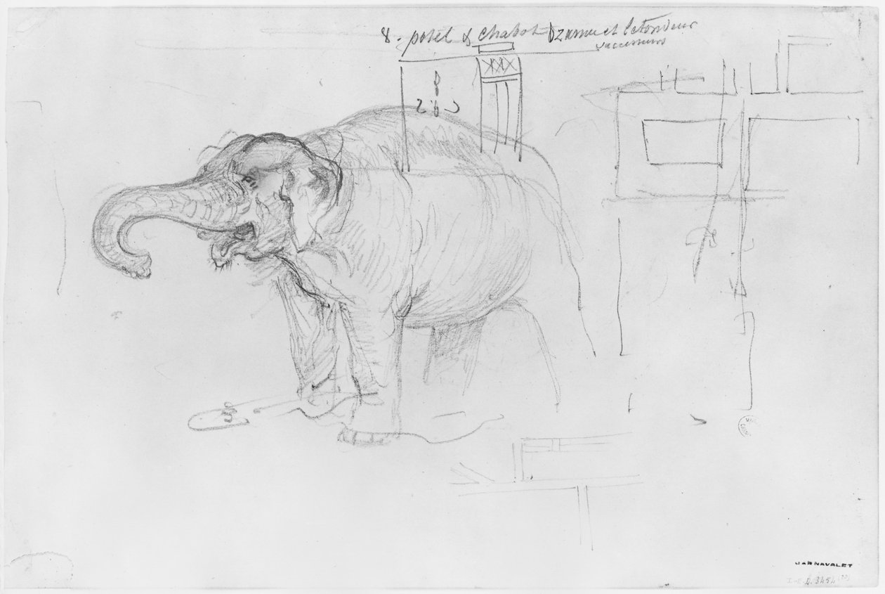 Album Siege of Paris, Elephant (pero a hnědý inkoust a tužka na papíře) od Gustave Dore