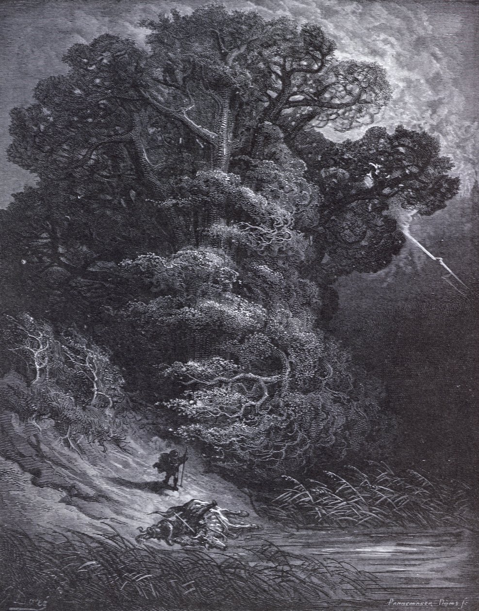 Ilustrace k filmu Dub a rákos z knihy Bajky od Jeana de La Fontaine (1621-95) od Gustave Dore