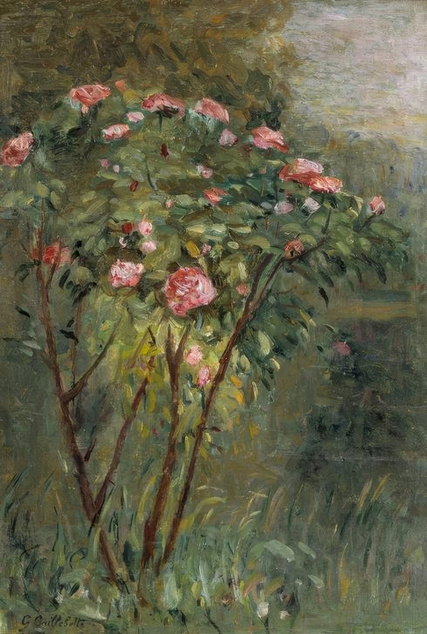 Růžový keř od Gustave Caillebotte