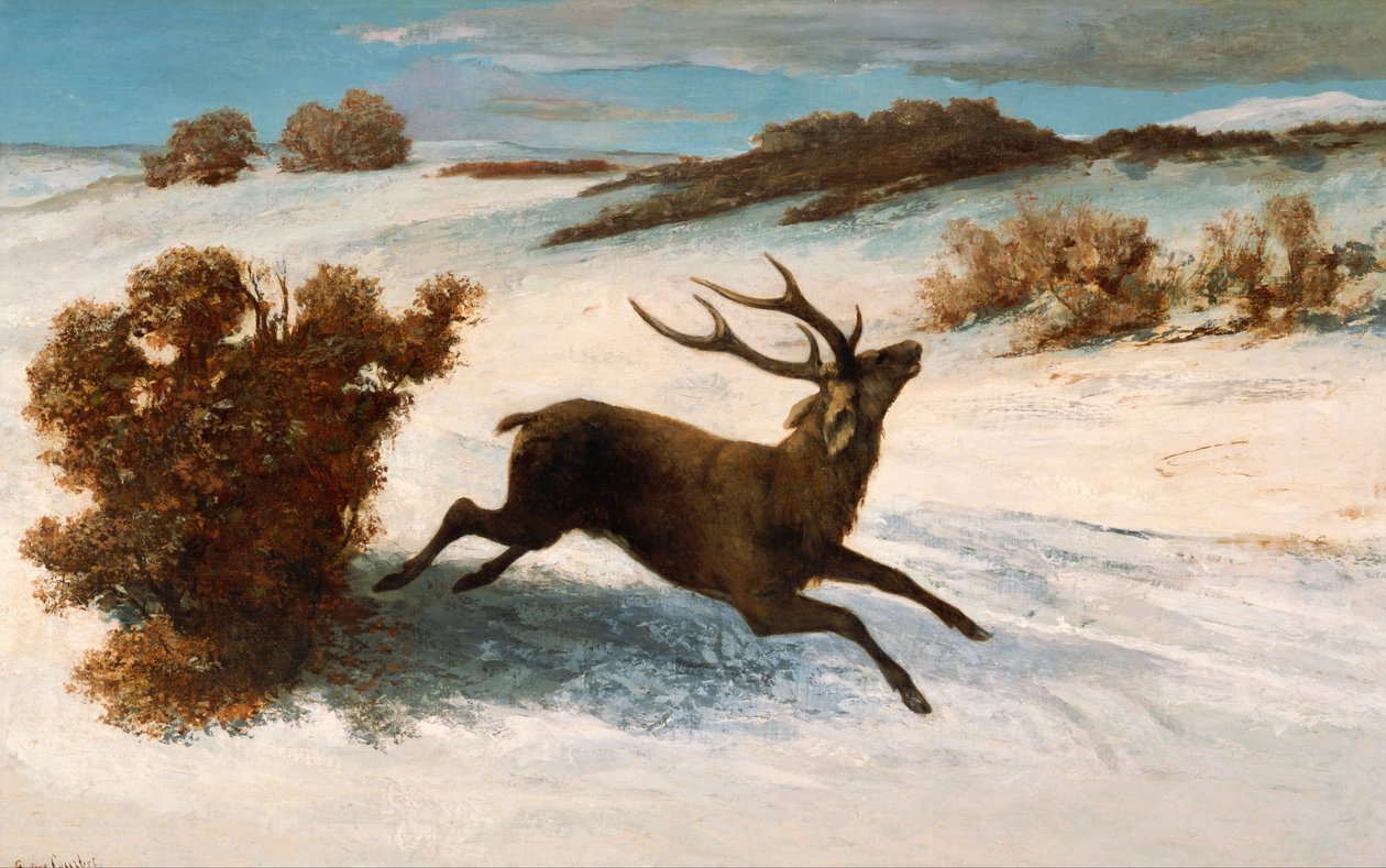Jelen běží ve sněhu. od Gustave Courbet
