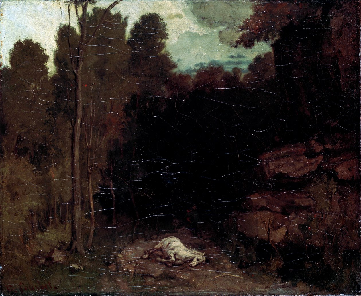Krajina s mrtvým koněm, 50. léta 19. století. od Gustave Courbet