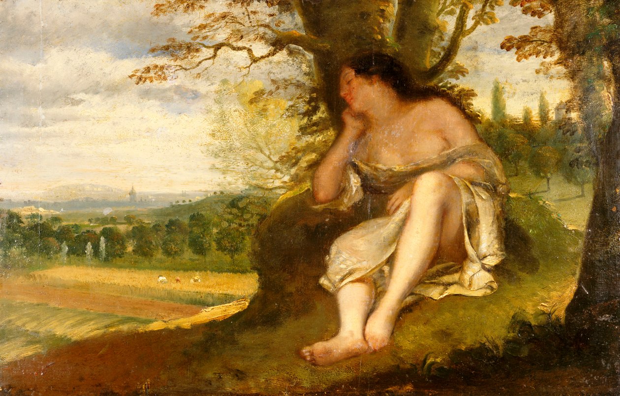 Nap od Gustave Courbet