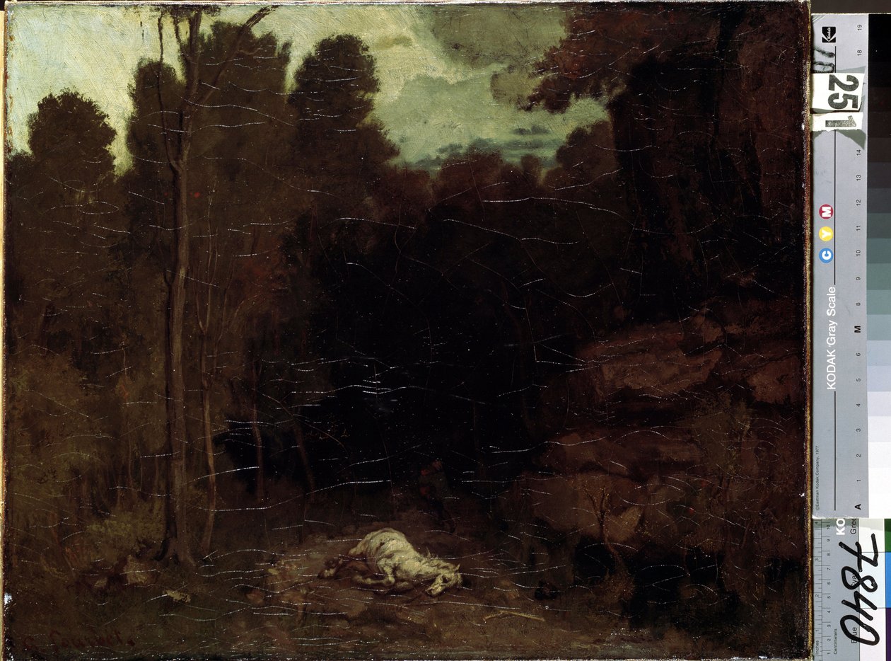 Neznámý obrázek od Gustave Courbet