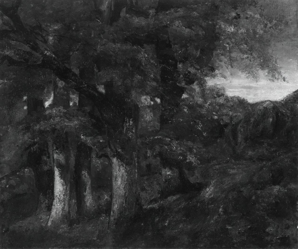 Zalesněná krajina, 181977. od Gustave Courbet