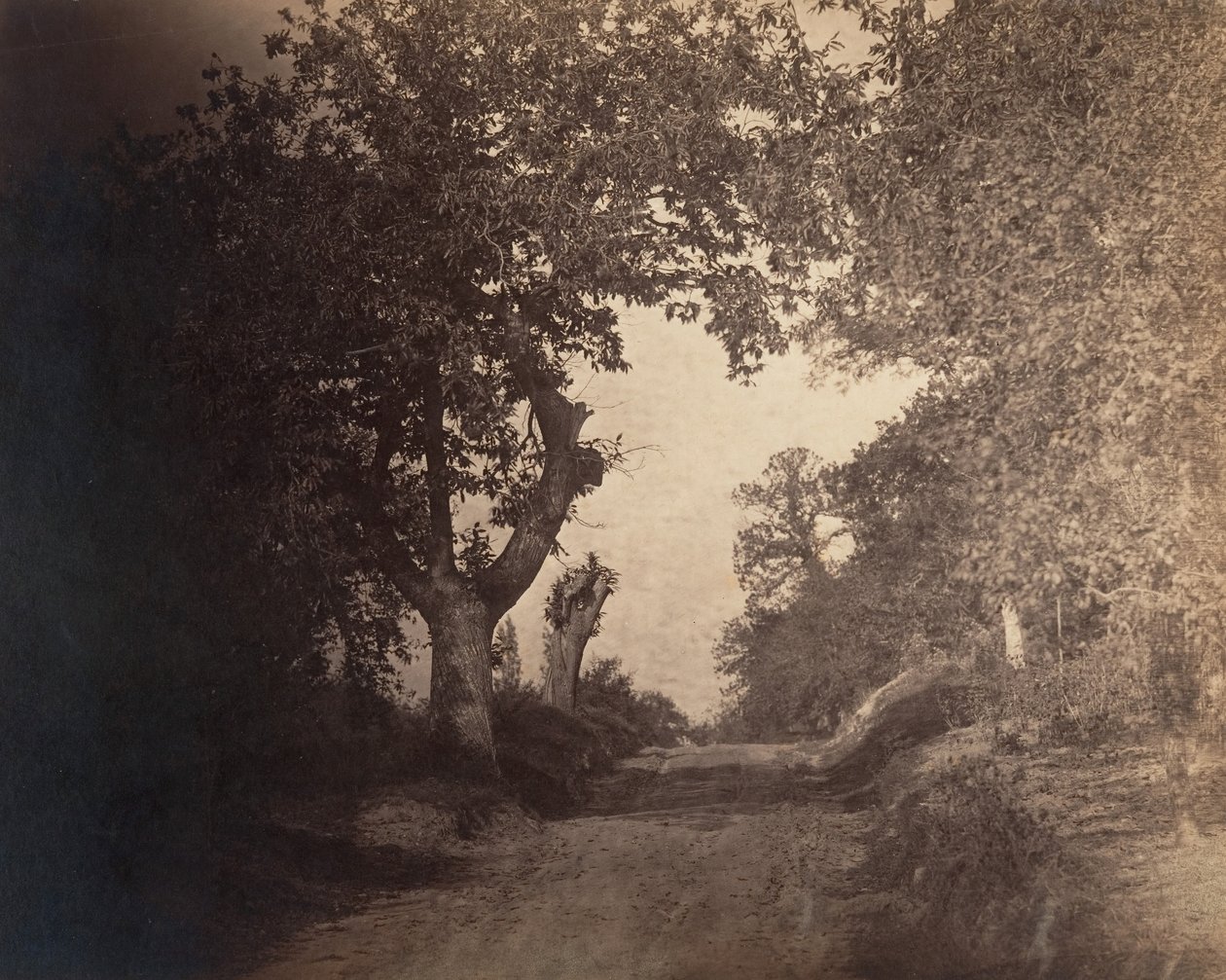 Fontainebleau, písečná cesta do kopce, ca. 1856. od Gustave Le Gray