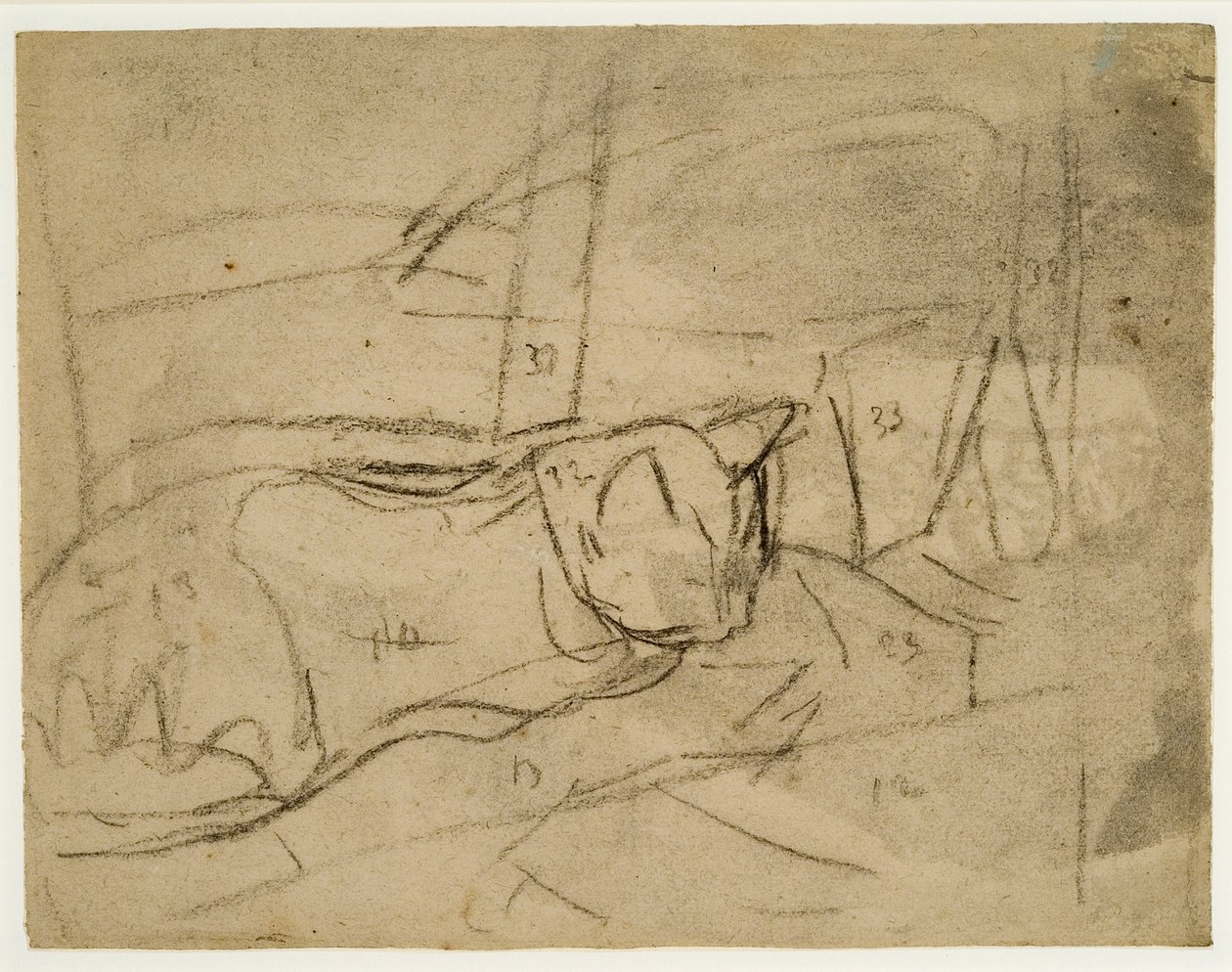 Studie koček (uhel na papíře) od Gwen John