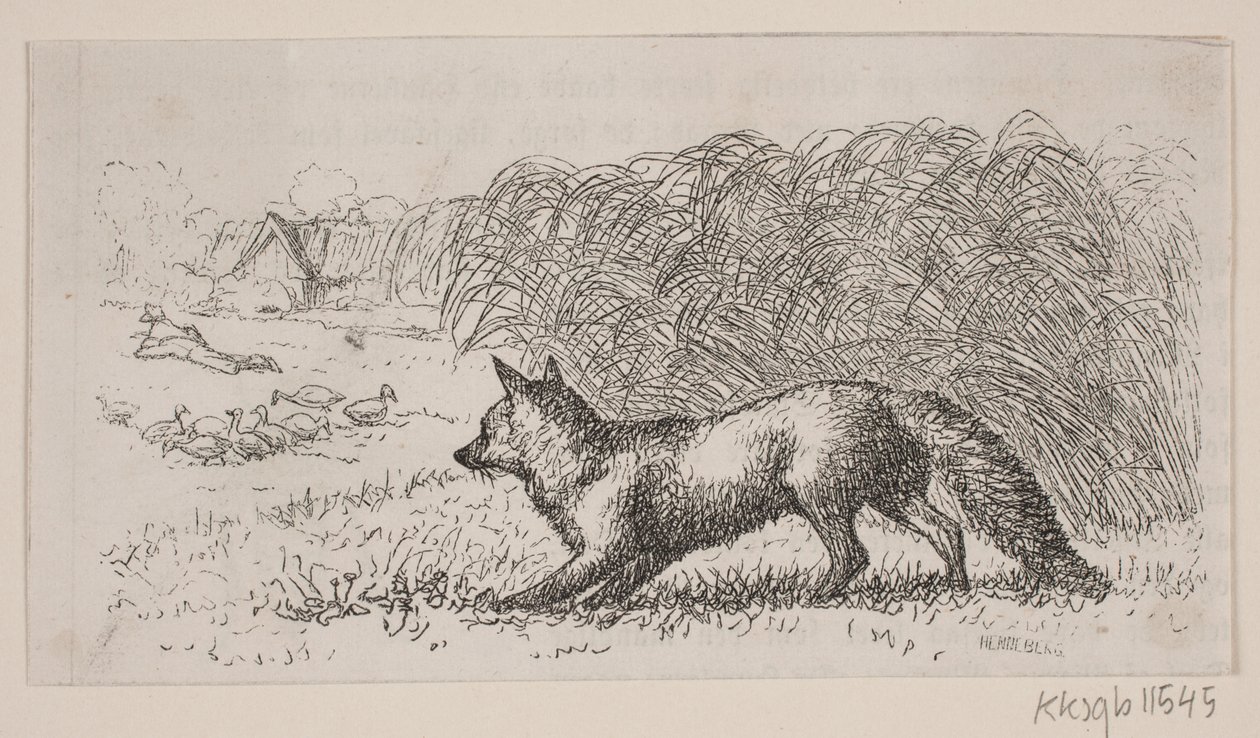 Ilustrace pro: "Pan Mikkel" od H. C. Henneberg
