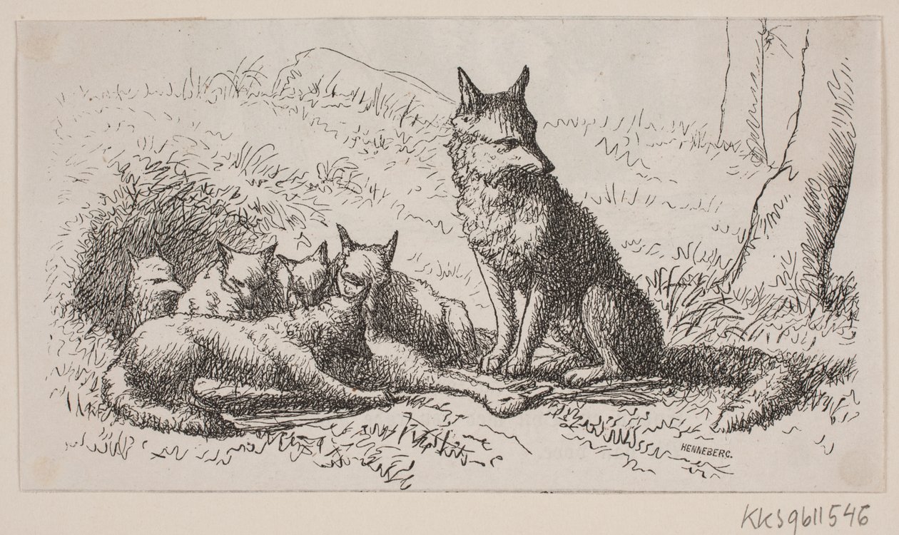 Ilustrace pro: "Pan Mikkel" od H. C. Henneberg