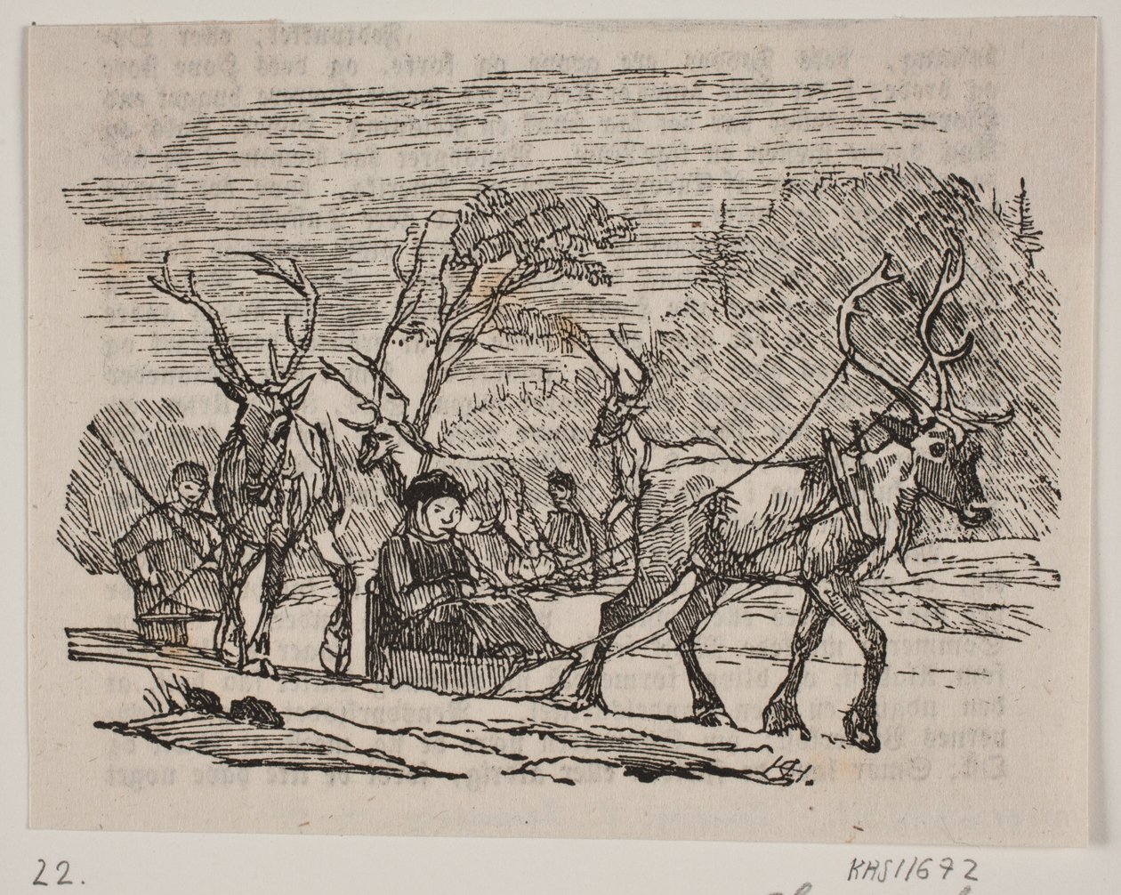 Jízda na saních se soby od H. C. Henneberg