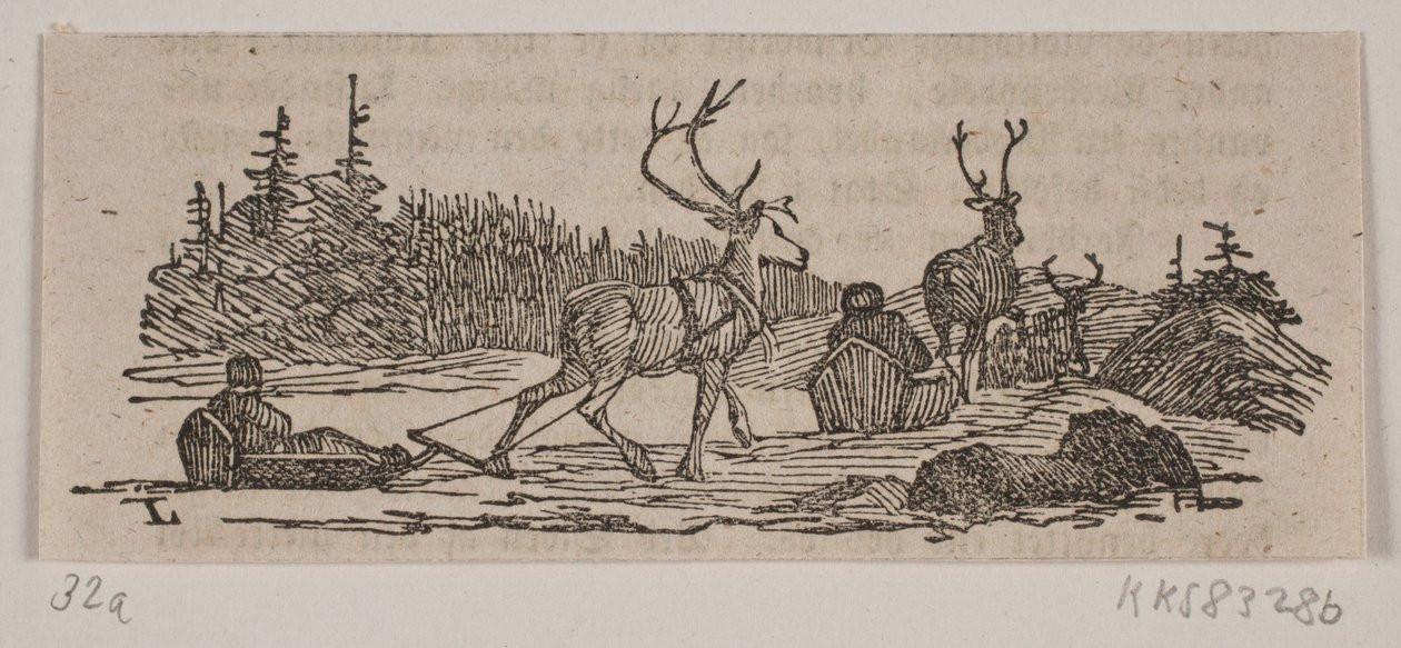 Jízda na saních se soby od H. C. Henneberg