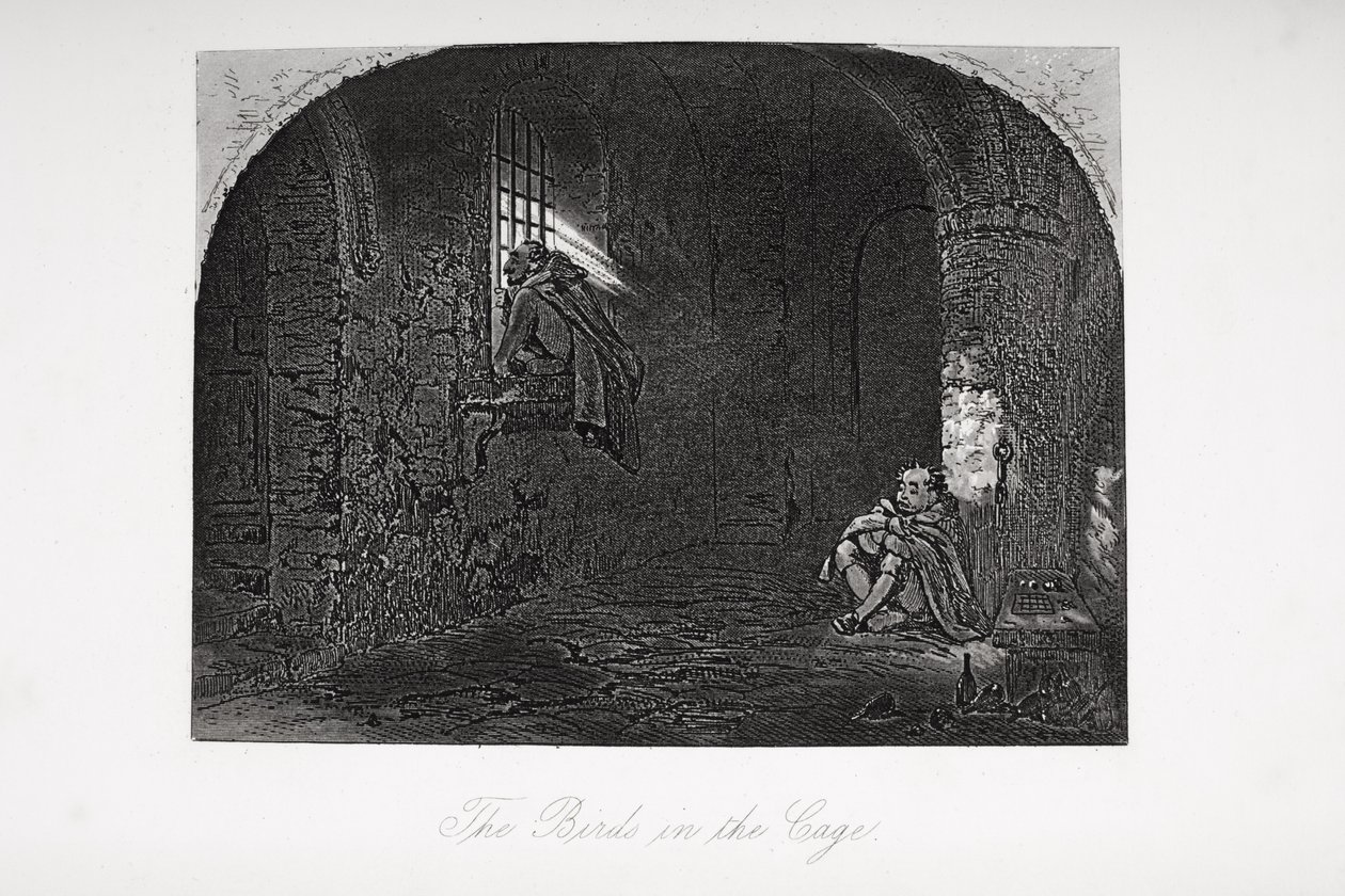 The Birds in the Cage, ilustrace z „Little Dorrit“ od Charlese Dickense (1812-70), poprvé publikovaná v roce 1857 od Hablot Knight Browne