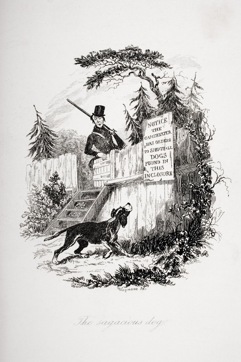 Prozíravý pes, ilustrace z knihy "The Pickwick Papers" od Charlese Dickense (1812-70), vydané v roce 1837 od Hablot Knight Browne