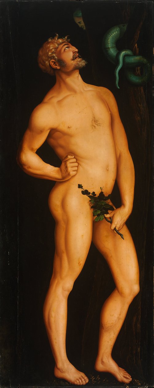 Adam od Hans Baldung Grien