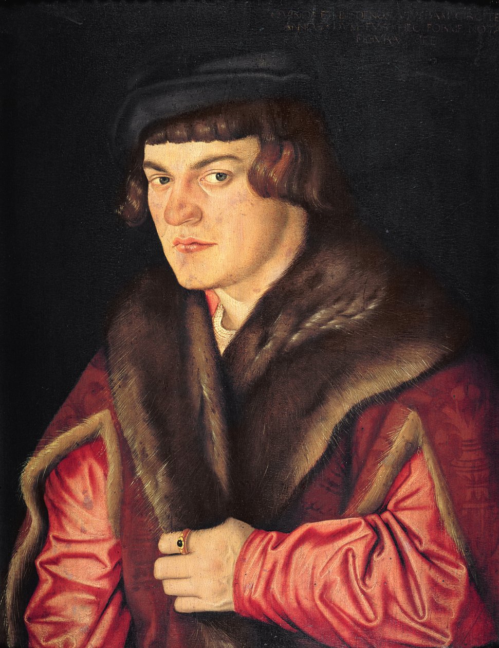 Portrét muže od Hans Baldung Grien