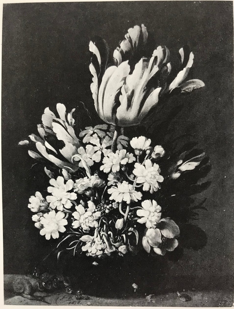 Kytice od Hans Bollongier