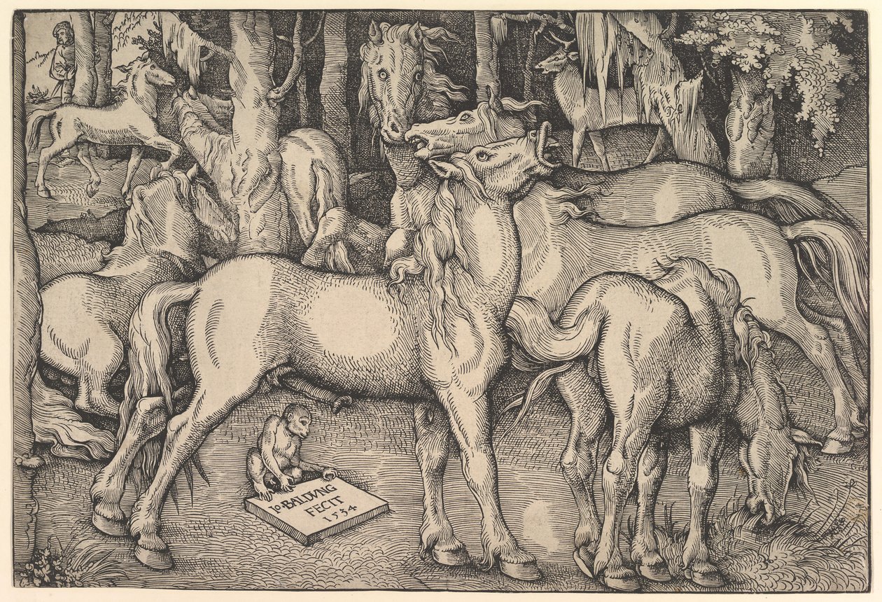 Skupina sedmi koní, 1534. od Hans Baldung