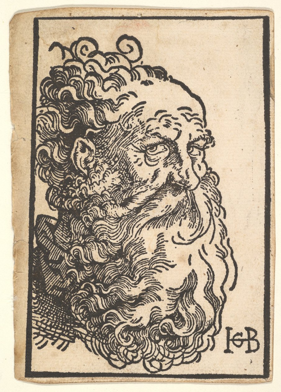 Hlava vousatého muže, ca. 1518-19. od Hans Baldung