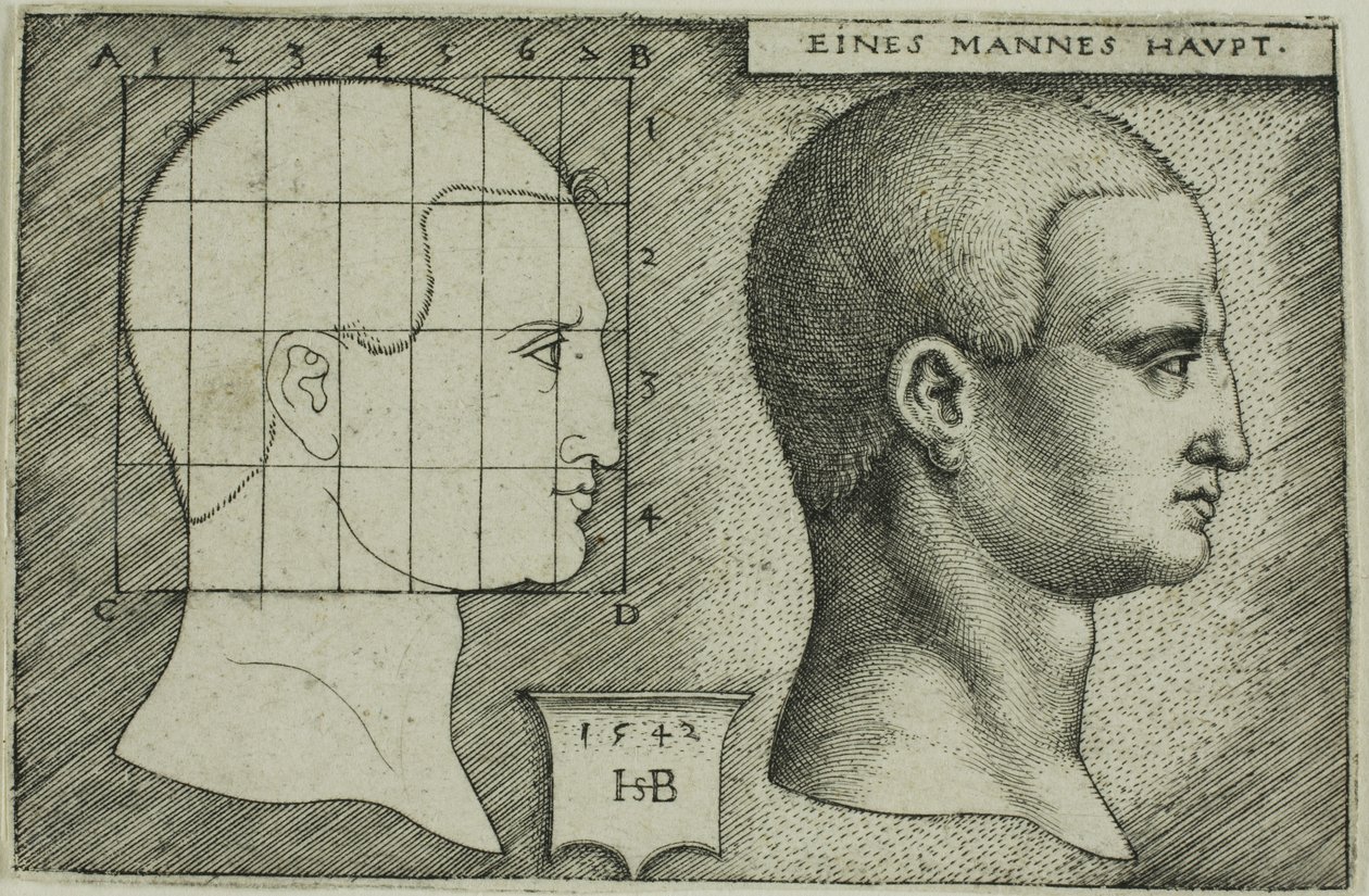 Profilová studie hlavy muže od Hans Sebald Beham