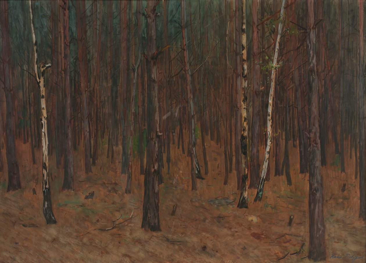 Waldinneres od Hans Tichy