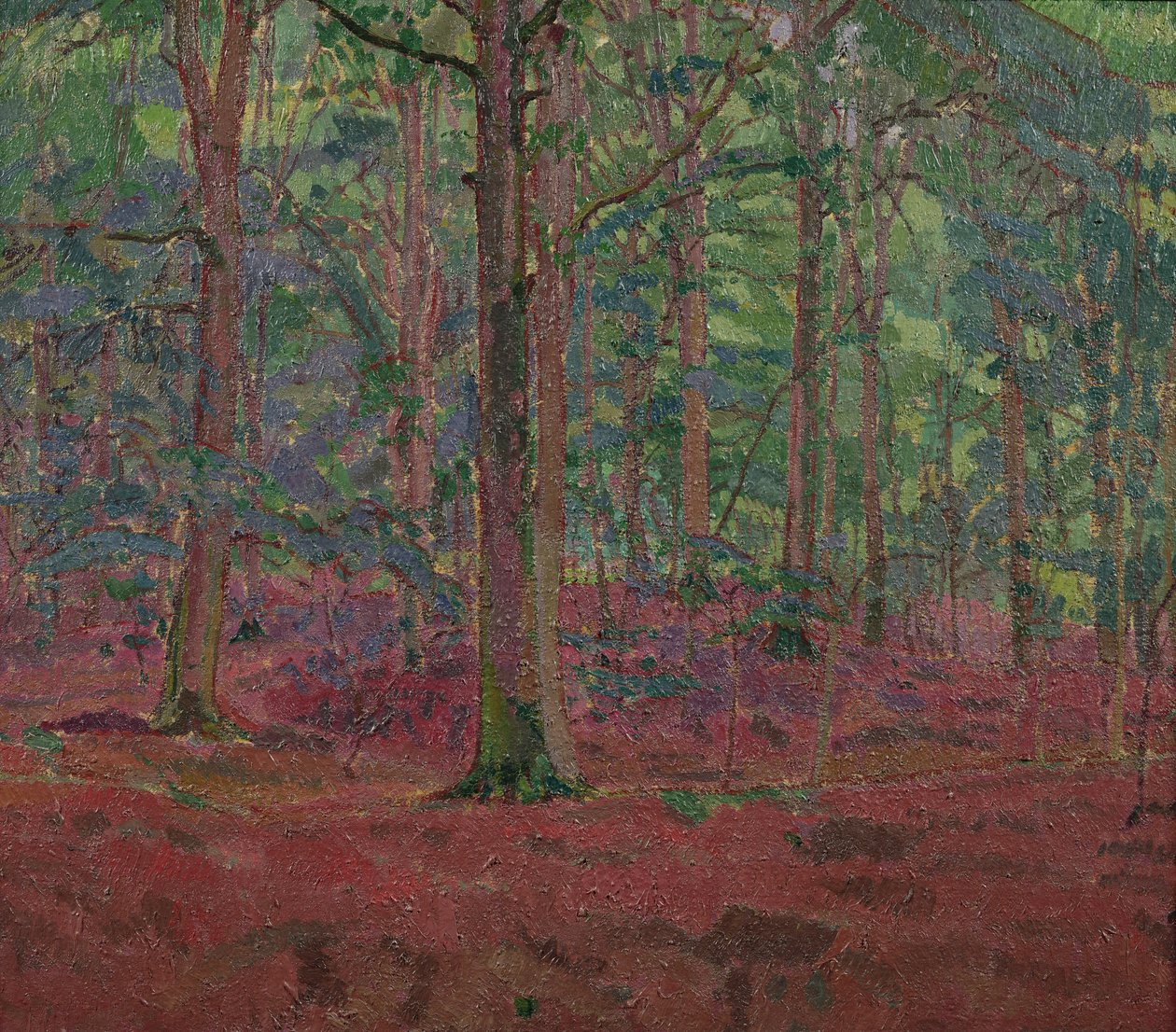 Bukové dřevo od Harold Gilman