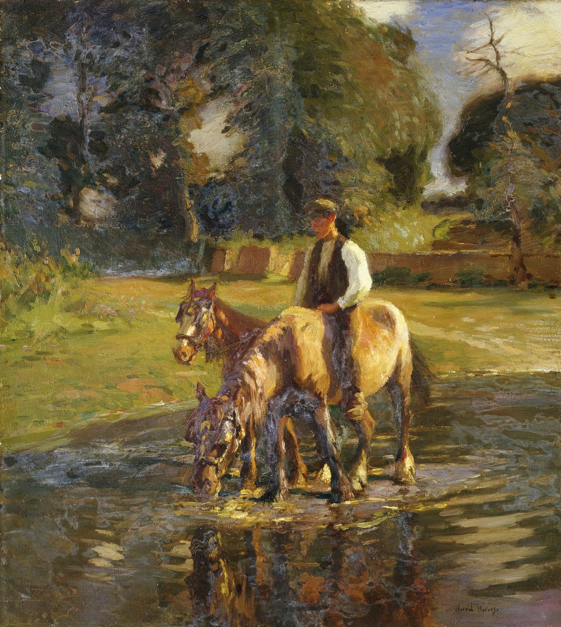 Napajedlo od Harold Harvey