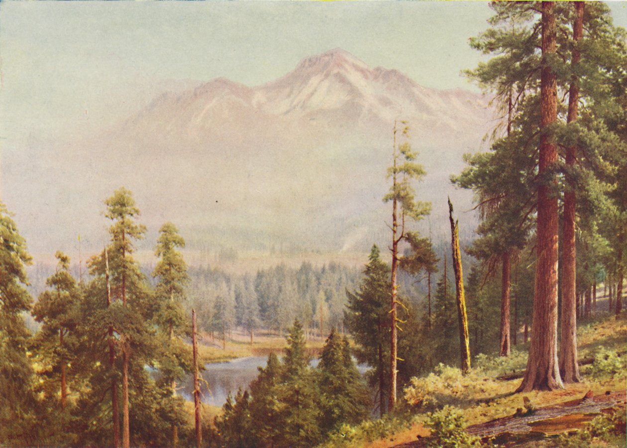 Mount Shasta, 1916 od Harold Sutton Palmer