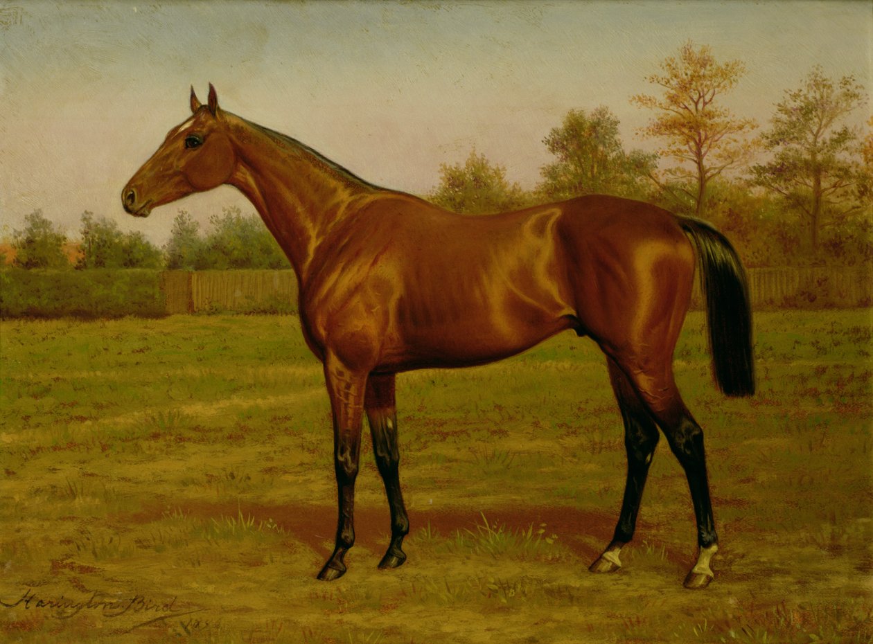 Isinglass, Triple Crown, 1893 od Harrington Bird